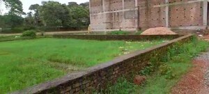 Plot Area in  Plot at Kathal More Road – for Sale