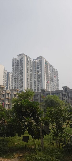 1.5 BHK Apartment – Exterior View View at Sector 10 Greater Noida - for Sale