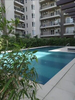 4 BHK Apartment For Sale in Adani M2K Oyster Grande, Sector 102