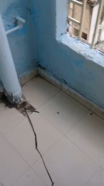 Bathroom in 1 BHK Apartment at Avalon Homes, Tijara – for Sale