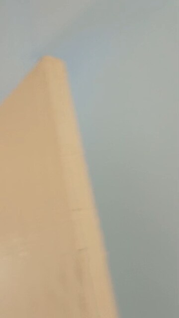 Building Lobby in 1 BHK Apartment at Avalon Homes, Tijara – for Sale