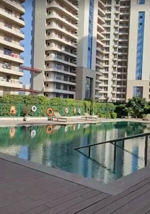 Swimming Pool in 4 BHK Apartment at Chintels Serenity, Sector 109 – for Sale