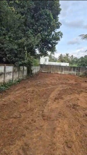 Plot Area in  Plot at Marathakkara – for Sale