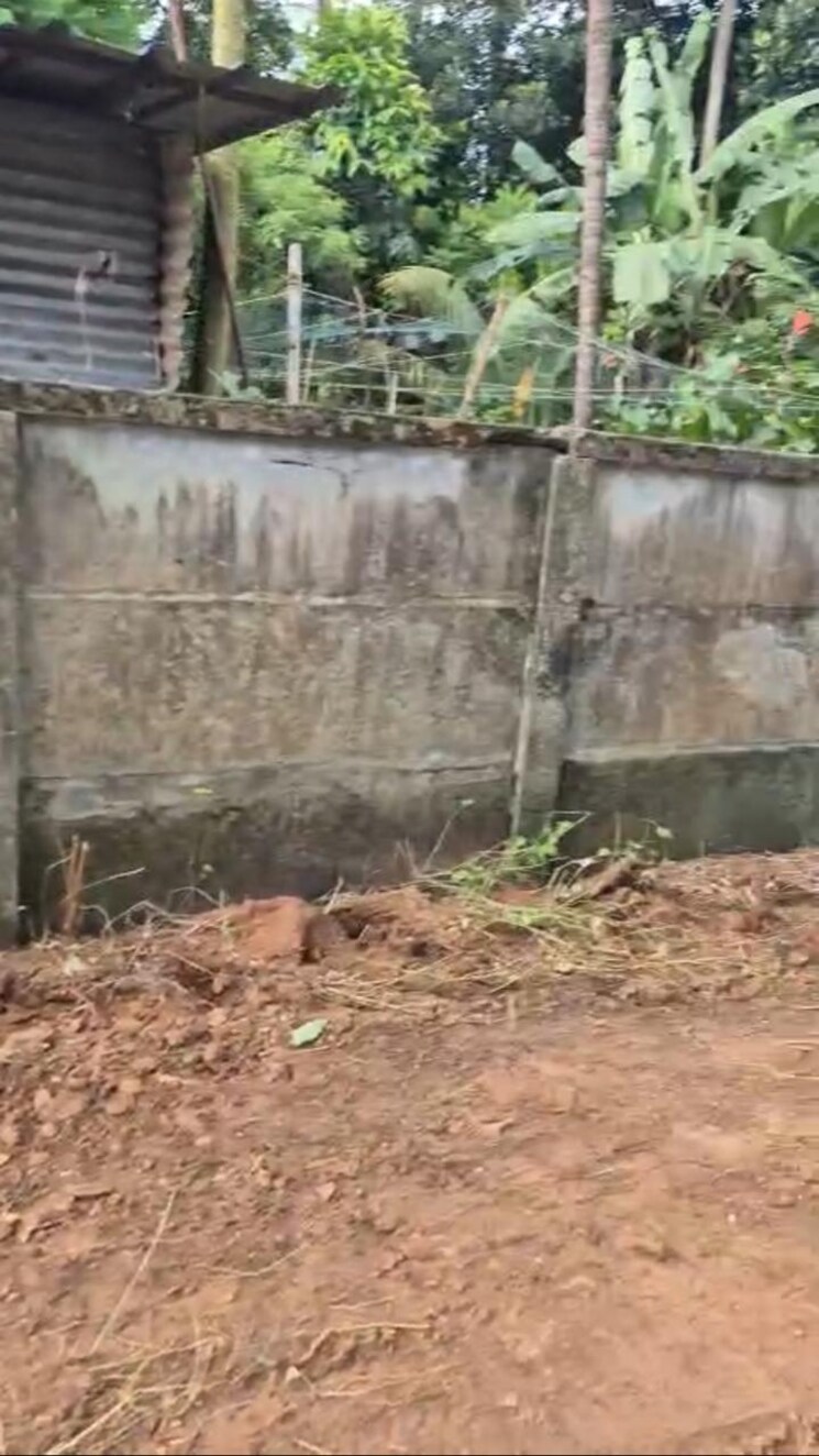 undefined, marathakkara  11980 Sq.Ft. Plot In Marathakkara Thrissur 9327514