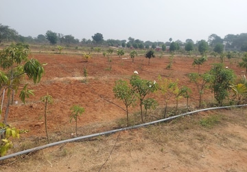 Plot – Exterior View View at Shadnagar - for Sale