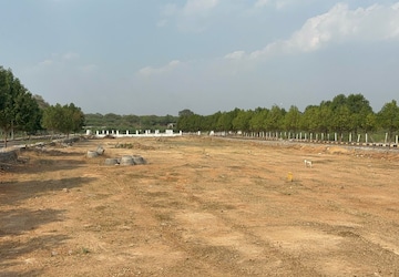Plot Area in  Plot at Shadnagar – for Sale