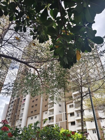 3 BHK Apartment For Rent in My Home Mangala, Kondapur