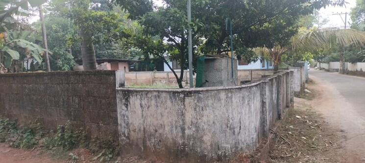 undefined, kuttoor  4356 Sq.Ft. Plot In Kuttoor Thrissur 9328586