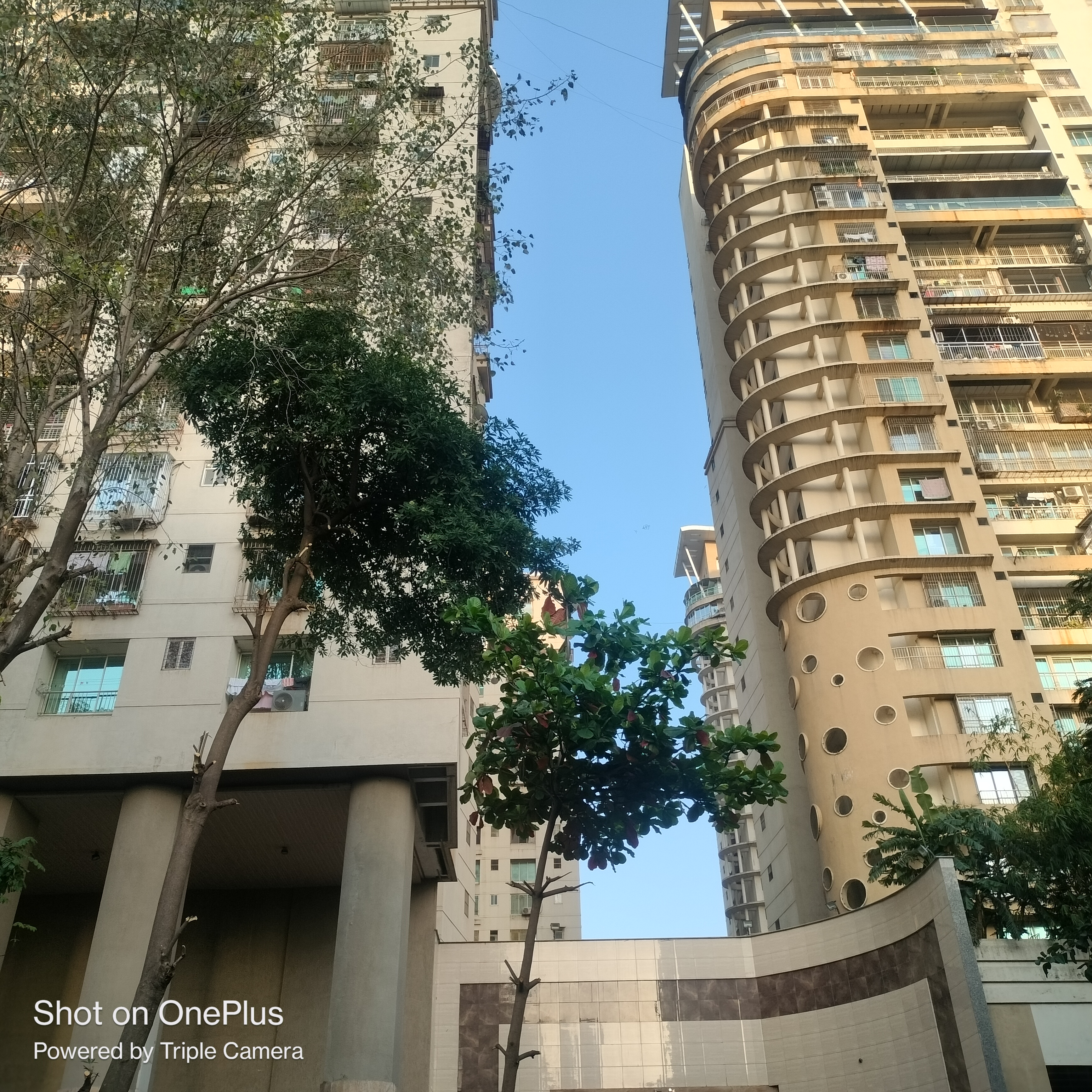 3 BHK + Extra Room Apartment For Rent in Rustomjee OZone