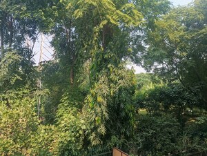 3 BHK Builder Floor – Exterior View View at Shalimar Nest, Vasant Kunj - for Rent