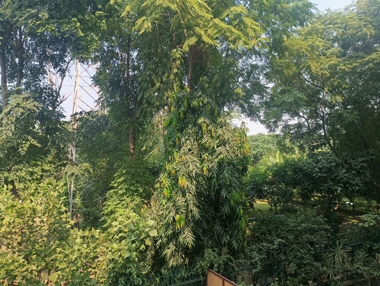 Exterior View, shalimar-nest 3 Bedroom 230 Sq.Yd. Builder Floor In Vasant Kunj Delhi 9328677