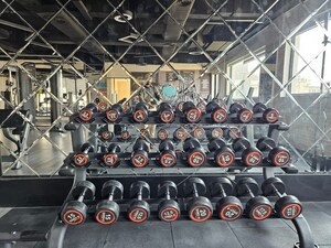 Gym in 3 BHK Apartment at Hermitage Centralis, Vip Road – for Sale