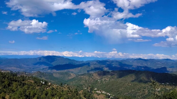 undefined, haldwani Commercial Land 8 Acre In Haldwani Nainital 9328848