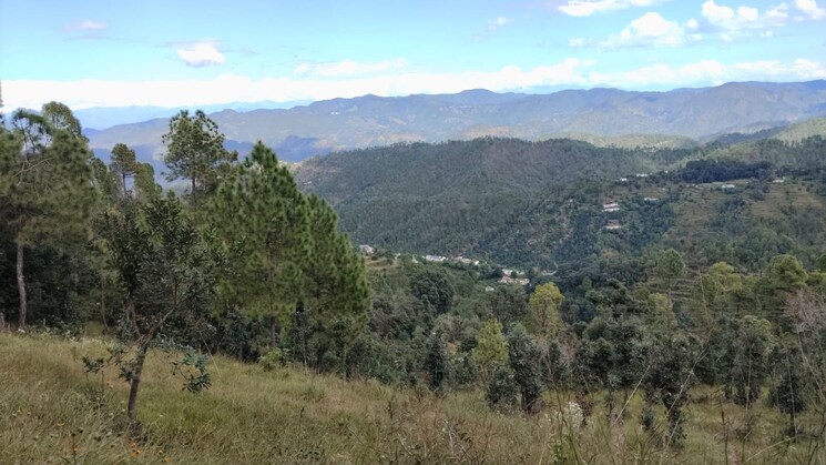 undefined, haldwani Commercial Land 8 Acre In Haldwani Nainital 9328848