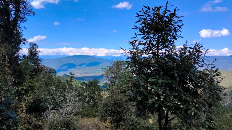 Cover Image, haldwani Commercial Land 8 Acre In Haldwani Nainital 9328848