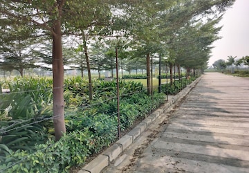 Plot – Exterior View View at Mastemau - for Sale