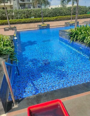 Swimming Pool in 4 BHK Penthouse at Bestech City Gate, Sector 81a – for Sale