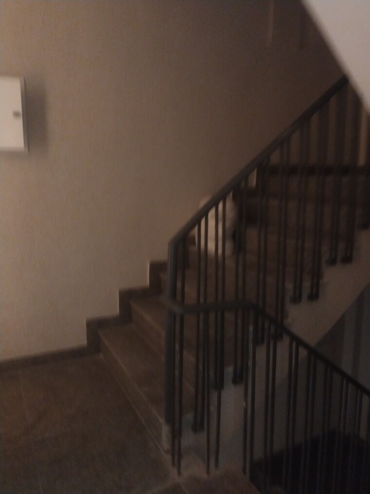 undefined, dlf phase i 4 Bedroom 1800 Sq.Ft. Builder Floor In Dlf Phase I Gurgaon 9329316