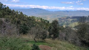 Plot Area in 2 BHK Villa at Ranikhet – for Sale