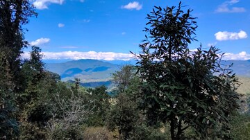  Land – Garden View at Haldwani - for Sale