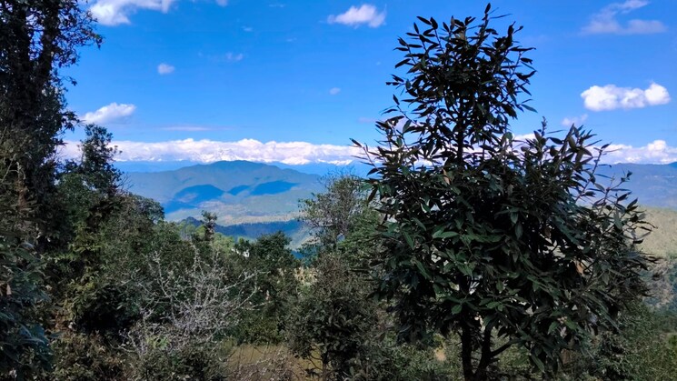 Garden, haldwani Commercial Land 5 Acre In Haldwani Nainital 9329301