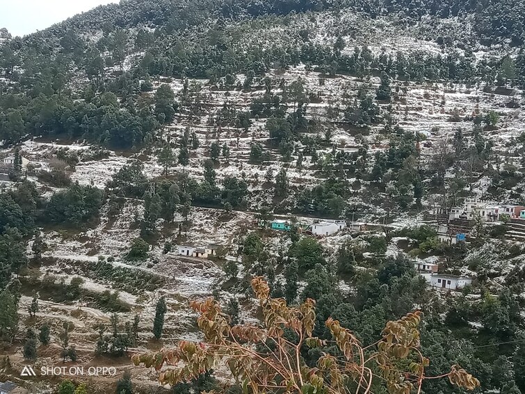 Cover Image, haldwani Commercial Land 5 Acre In Haldwani Nainital 9329301