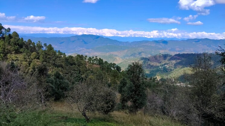 undefined, haldwani Commercial Land 5 Acre In Haldwani Nainital 9329301