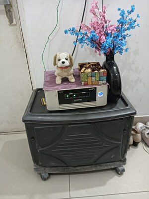  1 BHK Apartment at AVL 36 Gurgaon, Sector 36 – for Rent