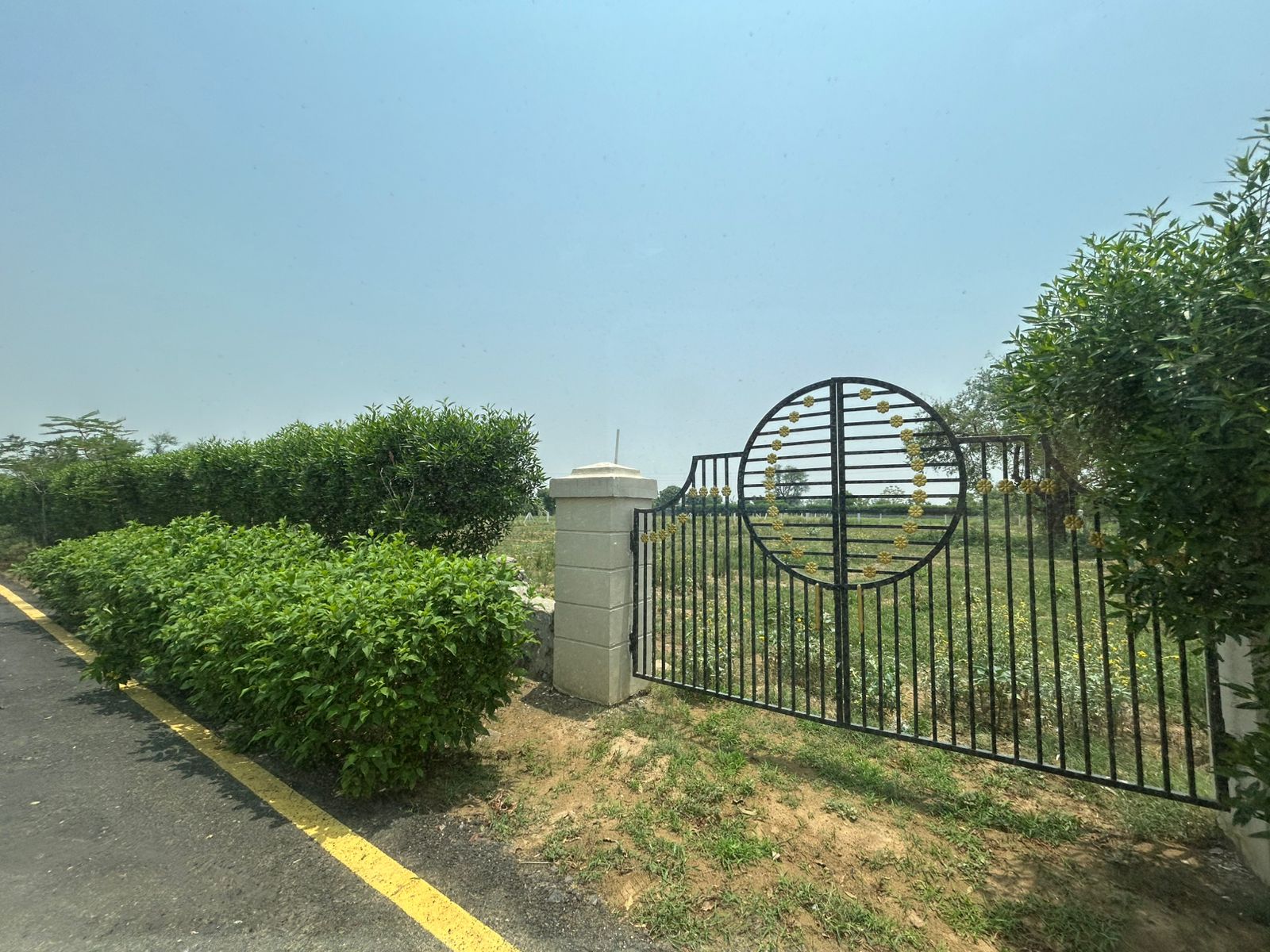 Plot For Sale in Naugaon