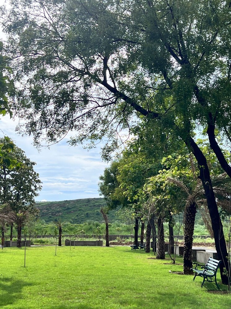 Garden, naugaon  1250 Sq.Ft. Plot In Naugaon Alwar 9329384