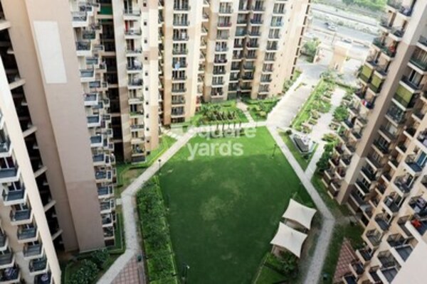 3 BHK 1460 Sq.Ft. Apartment in Exotica Dreamville