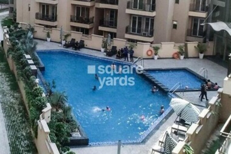 Swimming Pool, exotica-dreamville 3 Bedroom 1343 Sq.Ft. Apartment In Sector 16c Greater Noida Greater Noida 9329582