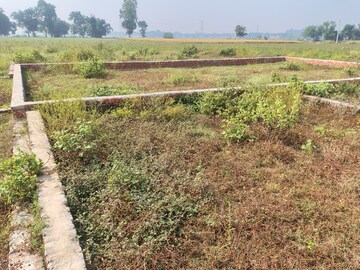 Plot Area in  Plot at Taramandal – for Sale