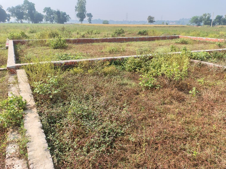 undefined, taramandal  1250 Sq.Ft. Plot In Taramandal Gorakhpur 9329683