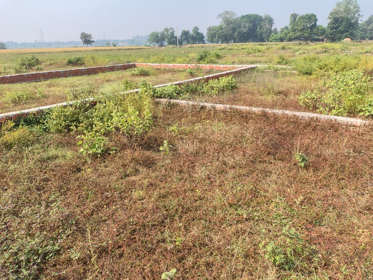 undefined, taramandal  1250 Sq.Ft. Plot In Taramandal Gorakhpur 9329683