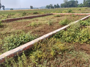 Plot Area in  Plot at Taramandal – for Sale