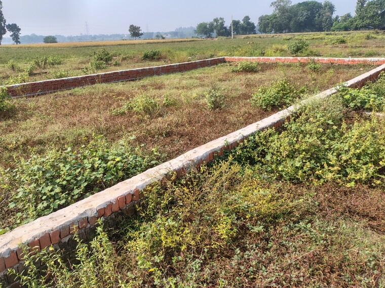 undefined, taramandal  1250 Sq.Ft. Plot In Taramandal Gorakhpur 9329683