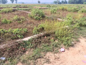 Plot Area in  Plot at Taramandal – for Sale