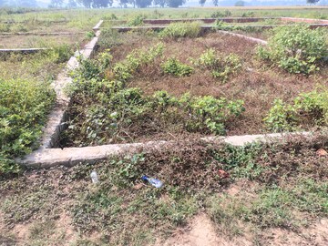 Plot Area in  Plot at Taramandal – for Sale