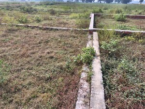 Plot Area in  Plot at Taramandal – for Sale