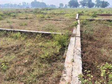 Plot Area in  Plot at Taramandal – for Sale