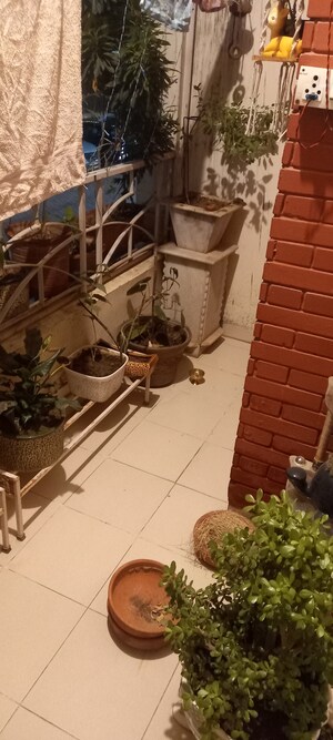 3 BHK Apartment For Sale in Motia Royal Estate, Lohgarh