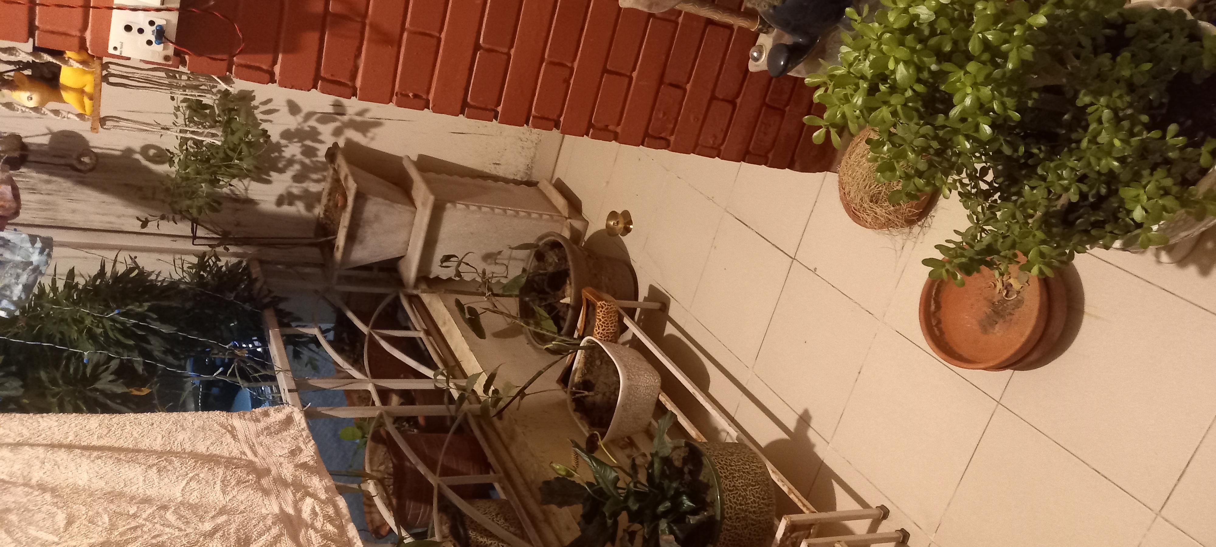 3 BHK Apartment For Sale in Motia Royal Estate