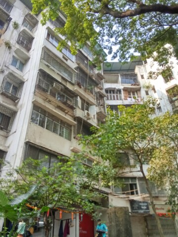 1 BHK Apartment For Rent in High Rise Apartments, Ic Colony