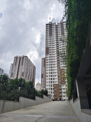 3 BHK Apartment For Rent in Trendset Jayabheri Elevate, Madhapur