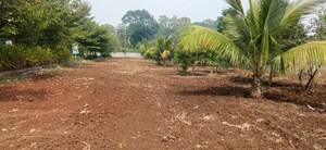 Plot Area in  Plot at Shadnagar – for Sale