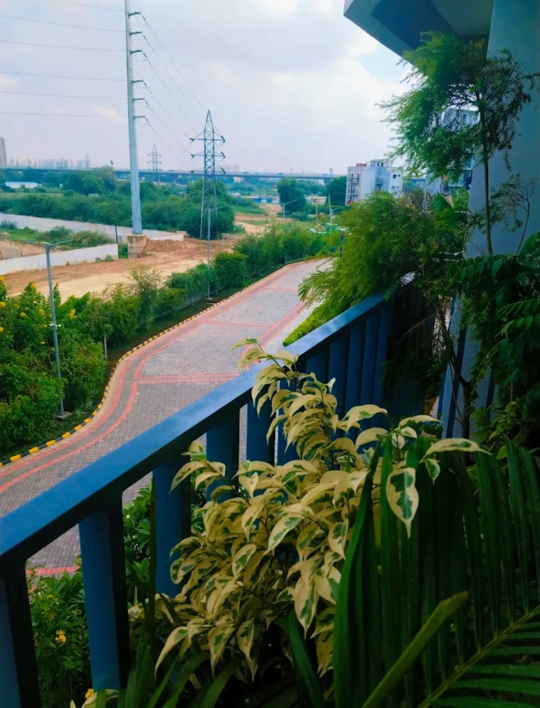 3 BHK Apartment For Sale in Paras Dews