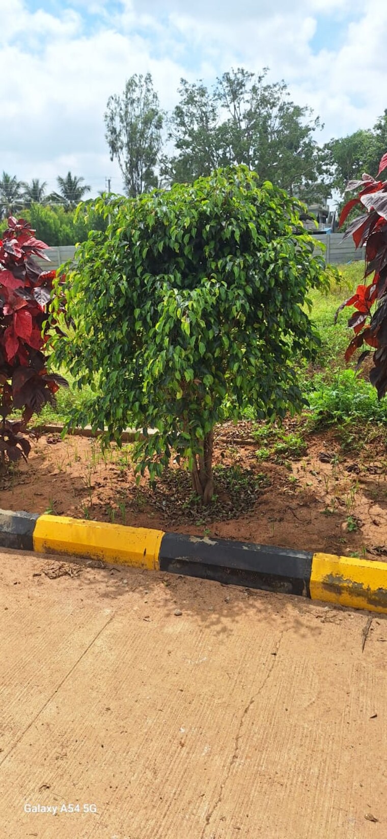 Garden, hoskote malur road  1600 Sq.Ft. Plot In Hoskote Malur Road Bangalore 9330389
