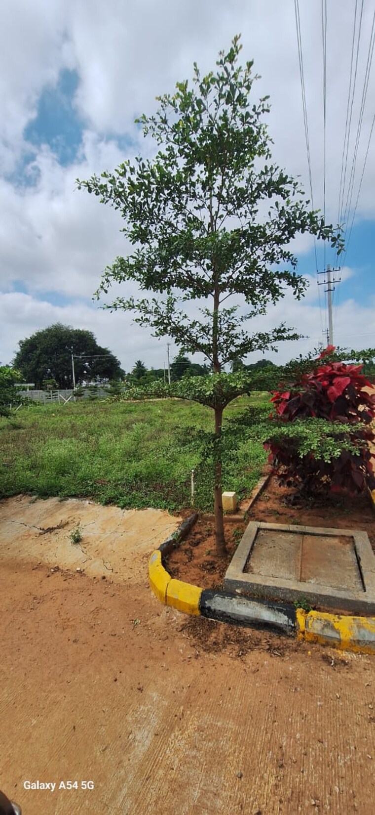 Garden, hoskote malur road  1600 Sq.Ft. Plot In Hoskote Malur Road Bangalore 9330389