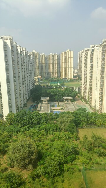 2 BHK Apartment For Rent in Aims Golf City, Sector 75